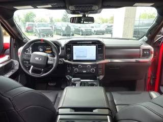 FORD F 150 usata, con ESP