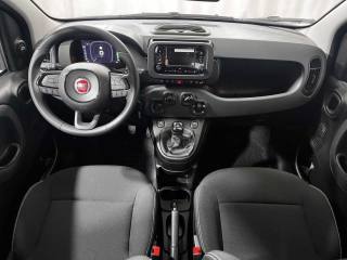 FIAT Panda usata, con Sensori di parcheggio posteriori