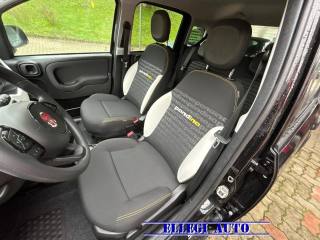 FIAT Pandina Cross usata, con Immobilizzatore elettronico
