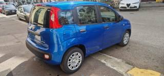 FIAT Panda usata, con Chiusura centralizzata