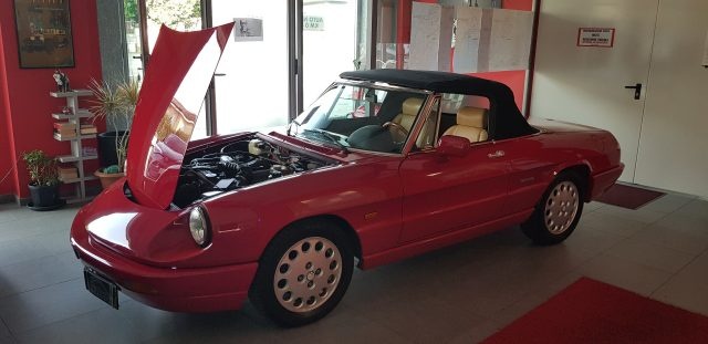ALFA ROMEO Spider usata, con Cerchi in lega