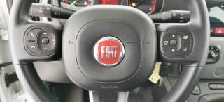FIAT Panda usata 67