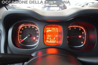 FIAT Panda usata, con Airbag testa