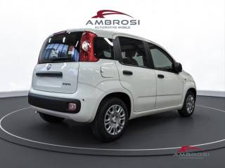 FIAT Panda usata 2