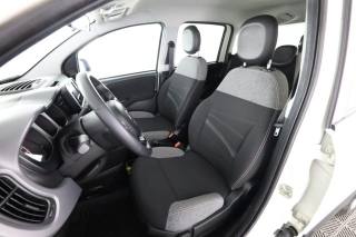 FIAT Panda usata 2