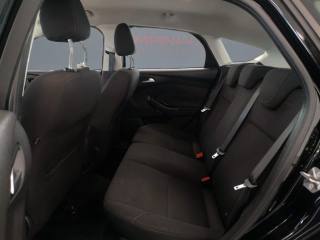 FORD Focus usata 15