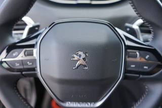 PEUGEOT 3008 usata, con Airbag testa