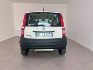 FIAT Panda usata 5