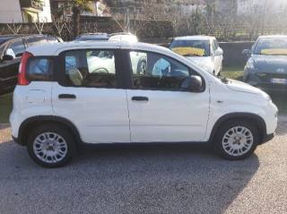 FIAT Panda usata, con Chiusura centralizzata