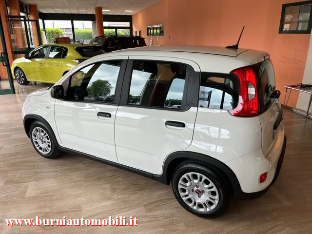 FIAT Panda usata, con Antifurto