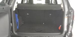 FORD EcoSport usata, con Fendinebbia