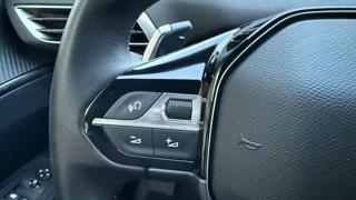 PEUGEOT 3008 usata, con Autoradio