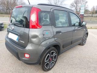 FIAT Panda usata, con Climatizzatore