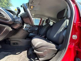 LANCIA Ypsilon usata, con Fendinebbia