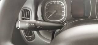 FIAT Panda usata 40