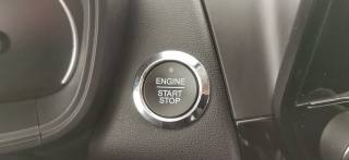 FORD EcoSport usata, con Monitoraggio pressione pneumatici