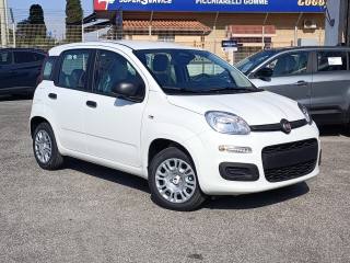 FIAT Panda 1.0 FireFly S&S Hybrid PREZZO REALE