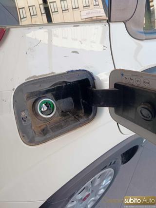 FIAT Panda usata 21