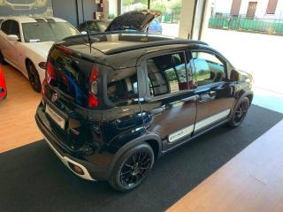 FIAT Panda usata, con Fendinebbia
