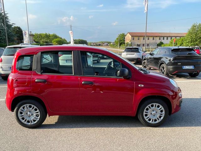 FIAT Panda usata, con Airbag Passeggero
