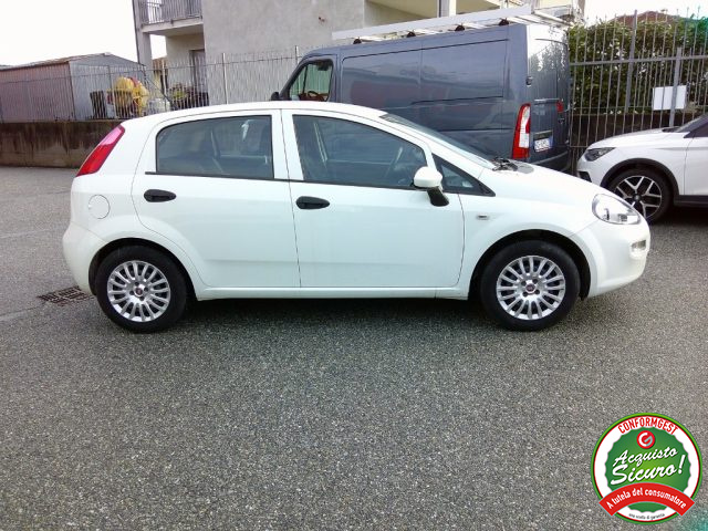 FIAT Punto usata, con Controllo trazione