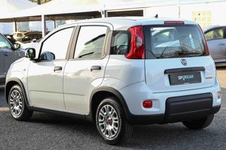FIAT Panda usata, con Climatizzatore