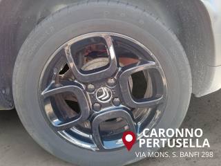 CITROEN C4 Cactus usata, con Fendinebbia