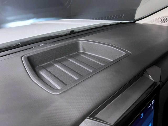 VOLKSWAGEN Amarok usata, con Immobilizzatore elettronico