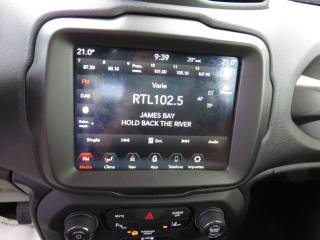 JEEP Renegade usata, con Cronologia tagliandi