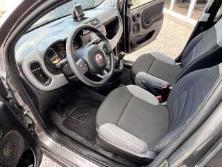 FIAT Panda usata 18