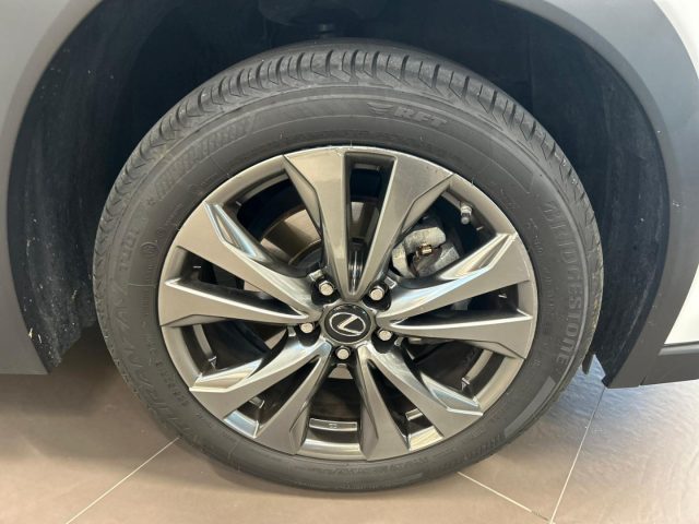 LEXUS UX 250h usata, con Fendinebbia