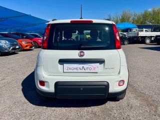 FIAT Panda usata 22