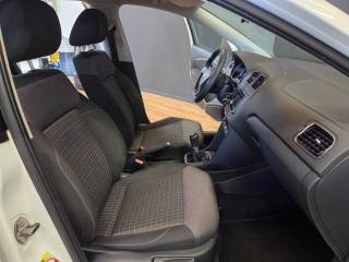 VOLKSWAGEN Polo usata, con Airbag testa