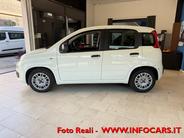 FIAT Panda usata 16
