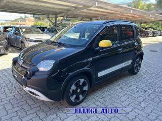 FIAT Pandina usata, con Controllo trazione