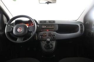 FIAT Panda usata 4