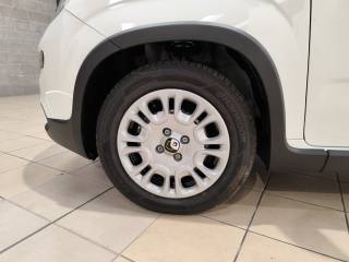FIAT Panda usata, con Immobilizzatore elettronico