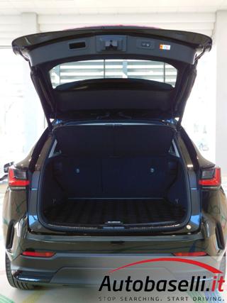 LEXUS NX 450h usata, con Volante riscaldabile