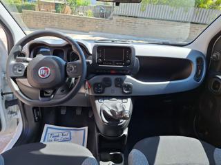 FIAT Panda usata, con Controllo trazione