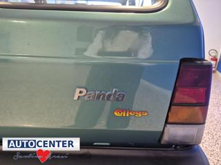 FIAT Panda usata 13