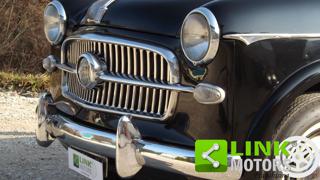 FIAT 1100 usata 24
