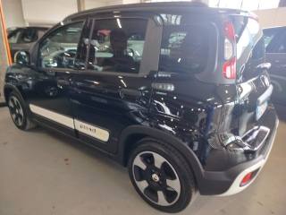 FIAT Panda usata, con Fendinebbia