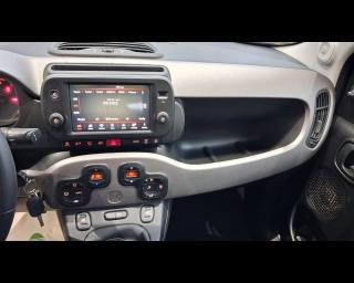 FIAT New Panda usata, con ESP