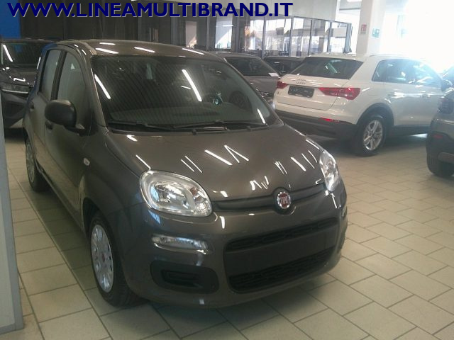 FIAT Panda usata 16