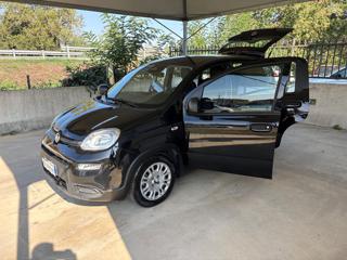 FIAT Panda usata, con Pneumatici estivi