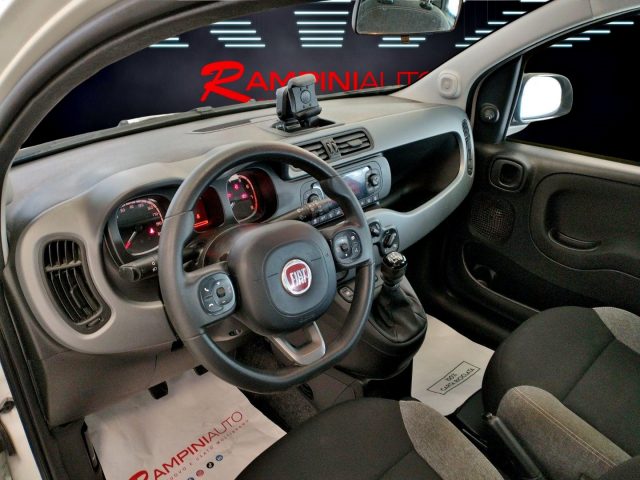 FIAT Panda usata 13