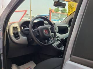 FIAT Panda Cross usata, con Luci diurne