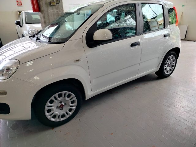 FIAT Panda usata, con Airbag Passeggero