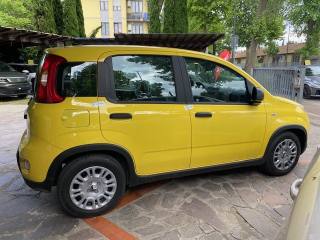 FIAT Panda usata, con Boardcomputer