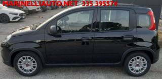 FIAT Panda usata, con Climatizzatore